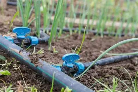Smart Watering Systems